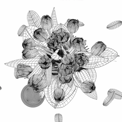 Tulips — Ver 2