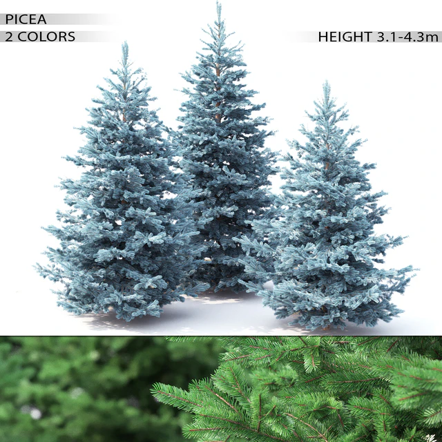 Spruce — Скачать