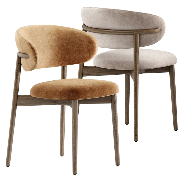 Dining chair Oleandro — Descargar