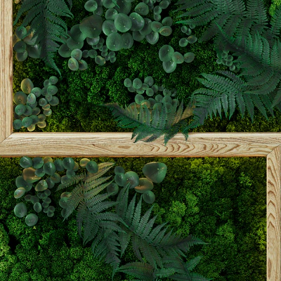 Fytowall — Ver 2