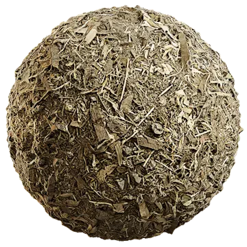dried leaves 038 — Скачать