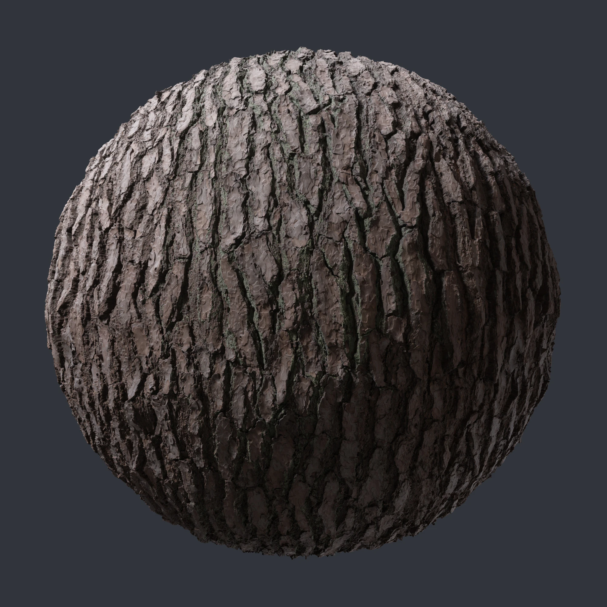 pine bark 001 — Скачать