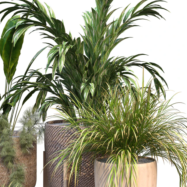 plant in vase collection set 214 — Descargar