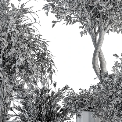 indoor Plant Set 308 - Tree and Plant Set in Black pot — Вид 5