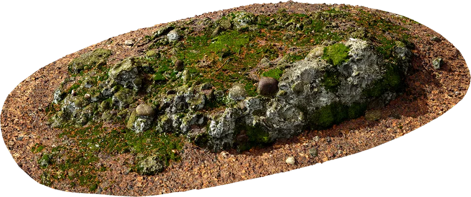 mossy forest rock formation 001 — Descargar