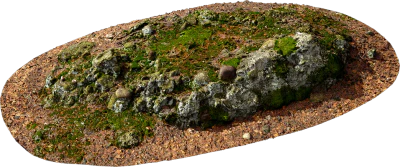 mossy forest rock formation 001 — Descargar
