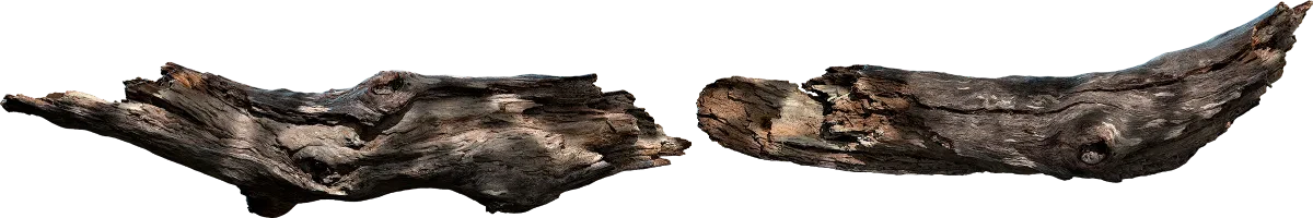 wooden branch 004 — Скачать