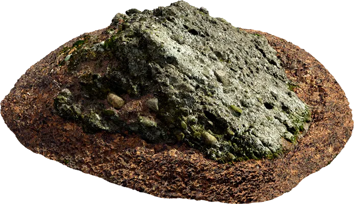 mossy forest rock 009 — Descargar