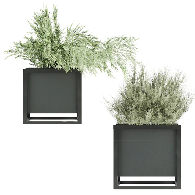 Collection plant vol 14 — Descargar