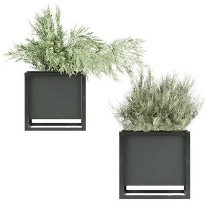 Collection plant vol 14 — Ver 4