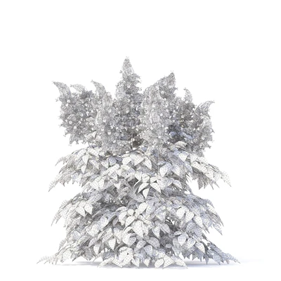 Astilba Japanese | Astilbe japonica — Ver 3