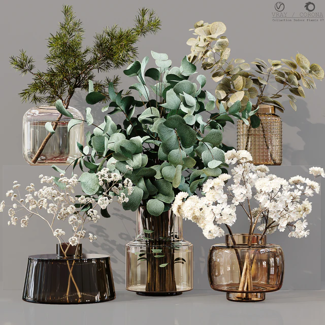 Collaction Indoor Plants 07 — Скачать