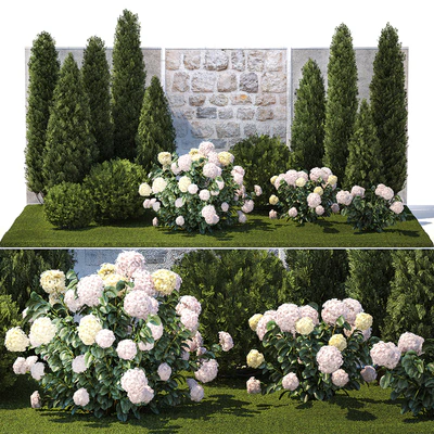 Collection of plants garden with bushes and trees for landscape design with thuja, cypress, flowering Hydrangea white. Set 1378. — descargar