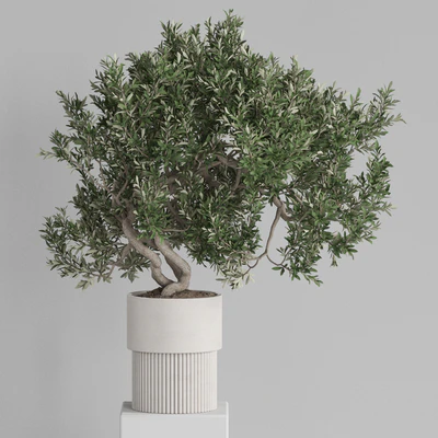 Plants collection 735 — Ver 4