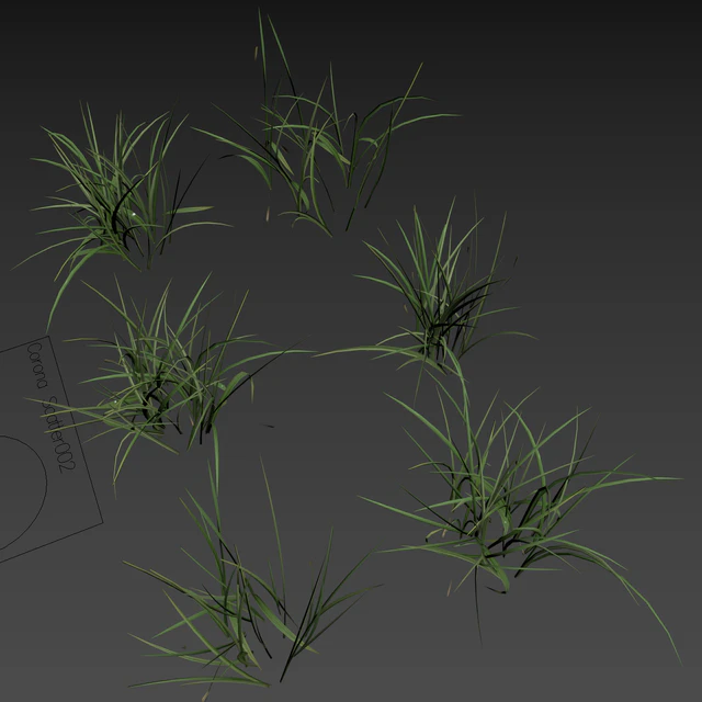 Field grass 02 — Download