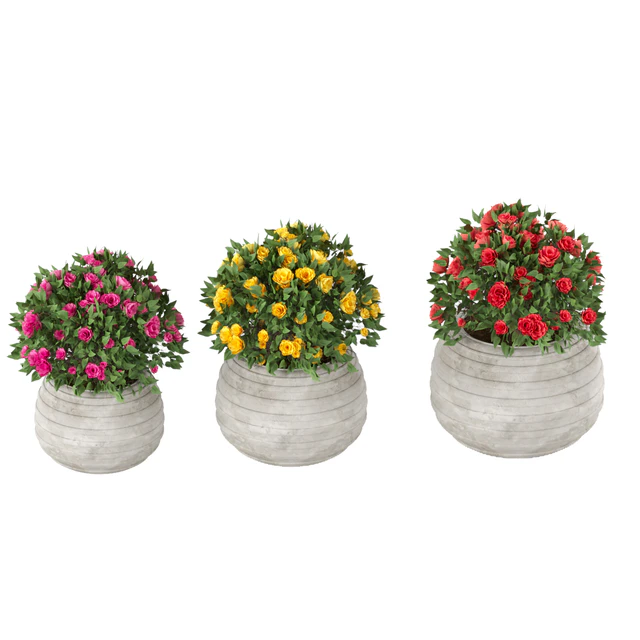 collection flowering bush vol 16 — Скачать