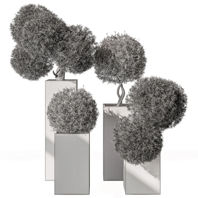 Topiary Plant in Box - Outdoor Plants 445 — Скачать
