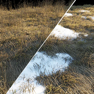 Dry grass | Thaw pollen — Ver 2