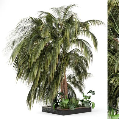 Outdoor Garden set bush and Tree - Garden Set 126 — Вид 5