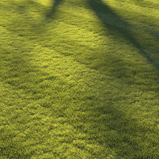 Football pitch lawn — Скачать
