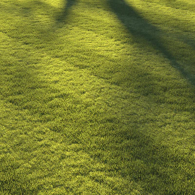 Football pitch lawn — Вид 4