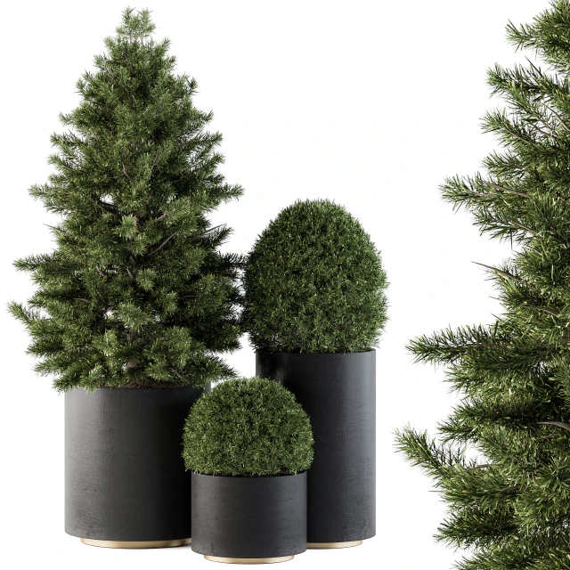 Outdoor Plants tree in Concrete Pot - Set 110 — Descargar