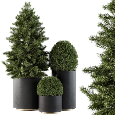Outdoor Plants tree in Concrete Pot - Set 110 — Ver 1
