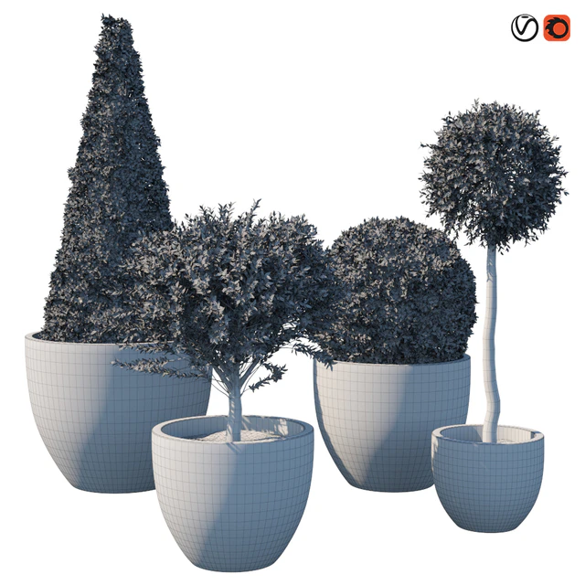 Street bushes in pots IV — Descargar