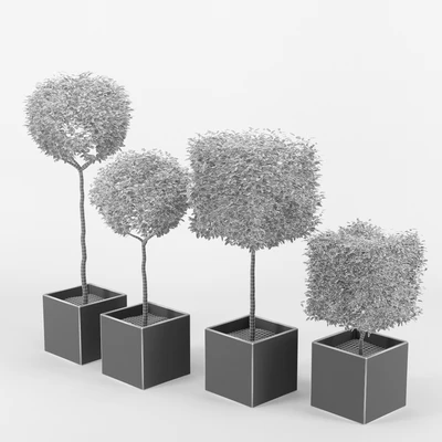 collection of plants 2 — Ver 2