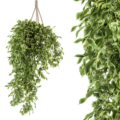 Hanging box plant - Set 154 — Ver 1