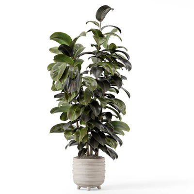 Indoor Plants in rusty Concrete Pot - Set 1209 — Ver 3