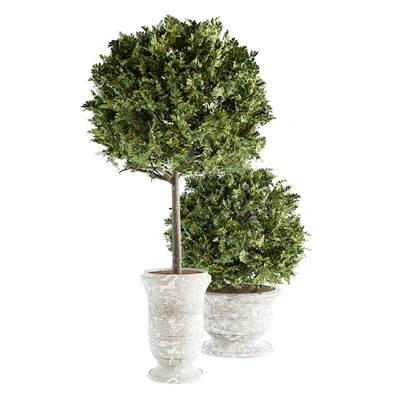 Outdoor Plants 02 - Plants in Concrete Pots — Вид 2