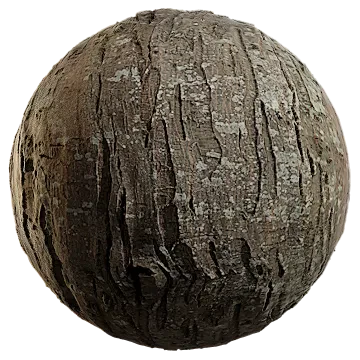 elm bark 001 — Скачать