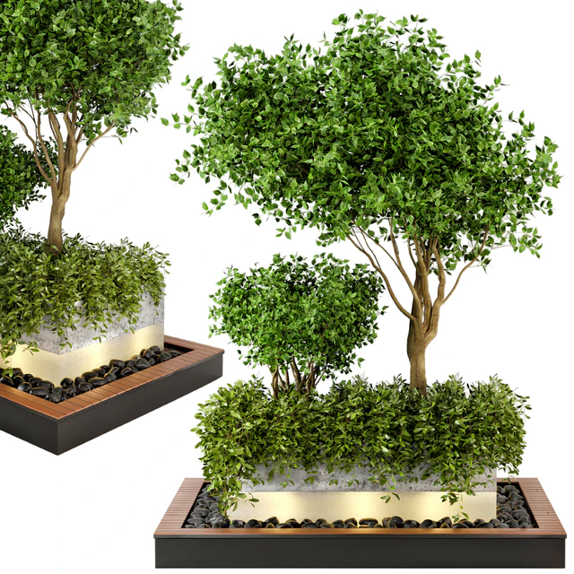 Outdoor Plants bush & Tree Combination of wood & concrete Pot - Garden Set 44 — Download