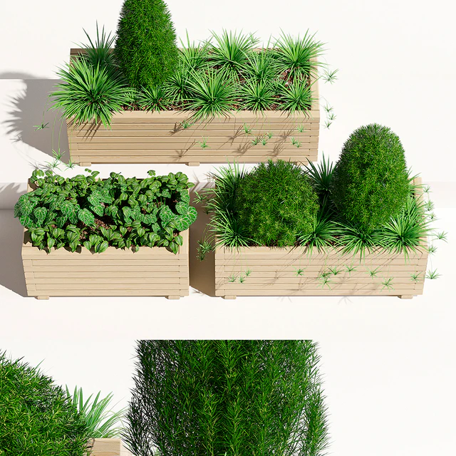 Pine planter 2 — Descargar