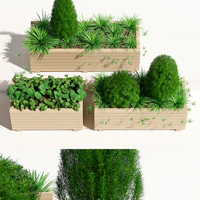Pine planter 2 — Ver 2
