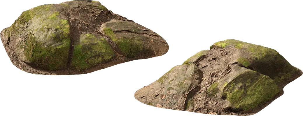 mossy forest boulder 005 — Descargar
