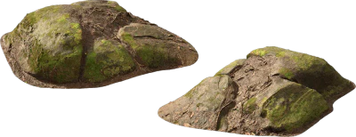 mossy forest boulder 005 — Descargar