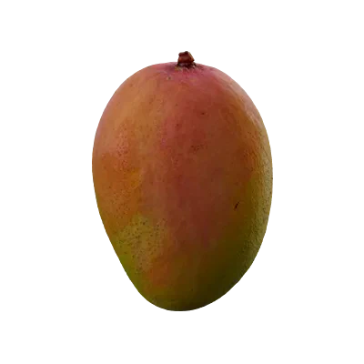 mango 005 — Скачать