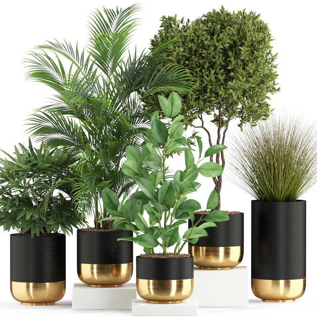 Plants collection 540 — Descargar