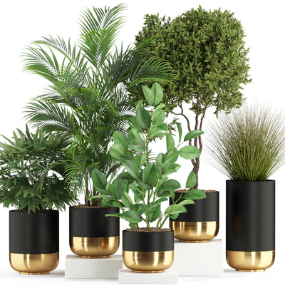 Plants collection 540 — Ver 1
