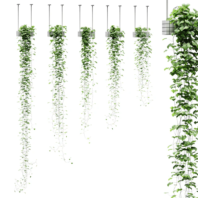 Viun in hanging pots. 5 models — Descargar