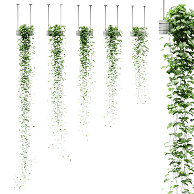 Viun in hanging pots. 5 models — Ver 1