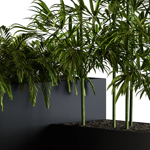 Outdoor Plants Black Plastic Box - Set 73 — Скачать