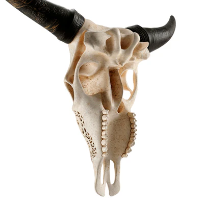 Carved cow skull — Вид 4