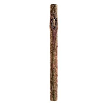 juniper branch bark 003 — Скачать