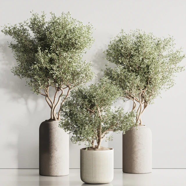 Indoor Plant Set 121 — Скачать