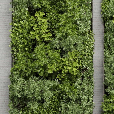 Concrete frame Vertical garden plant and moss garden wall decor box 66 — Ver 4