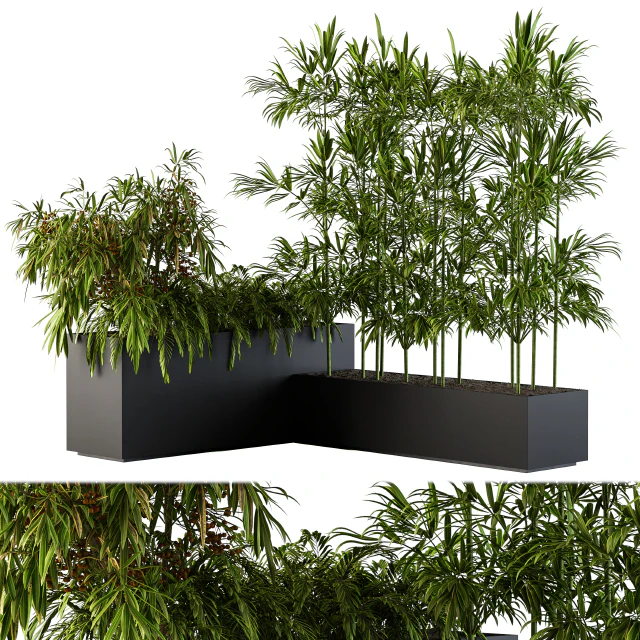 Outdoor Plants Black Plastic Box - Set 73 — Скачать