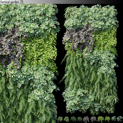 Vertical garden 25 — Ver 1